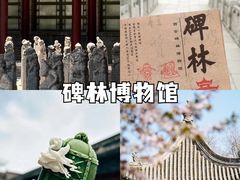 -西安城墙·碑林历史文化景区