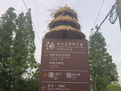 -上海长兴岛郊野公园