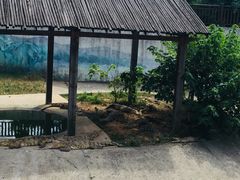 -无锡动物园·太湖欢乐园