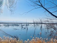 -野鸭湖国家湿地公园