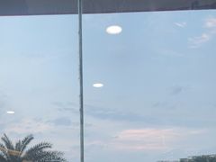 -探鱼·鲜青椒爽麻烤鱼(天河优托邦店)