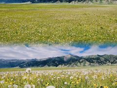 -赛里木湖风景名胜区