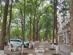 -西南政法大学(沙坪坝校区)