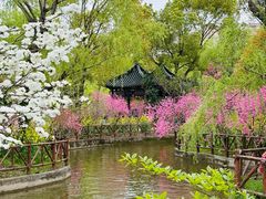 -南汇桃花村