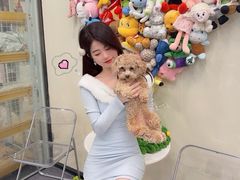 -有喵·猫咖·狗咖·40+猫狗有小奶狗(岗厦店)