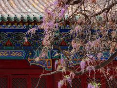 -北京国子监胡同