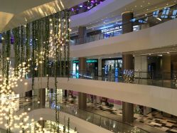 -史云逊养发护发