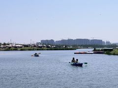 -春花秋色城市公园