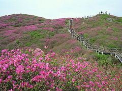 -白塔山公园
