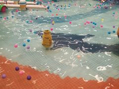 -南宫温泉水世界