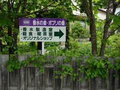 -富田农场