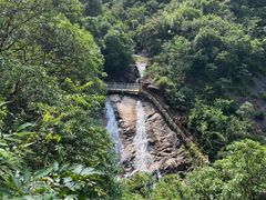 -广州白江湖森林公园