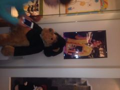 泰迪熊博物馆-济州岛泰迪熊博物馆