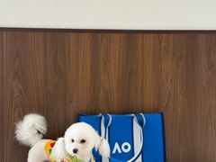 -转角宠物(转塘方家苑店)