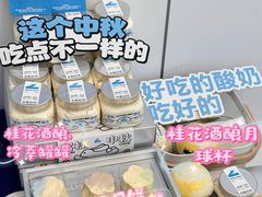 -白色日记·手作酸奶(麦凯乐店)