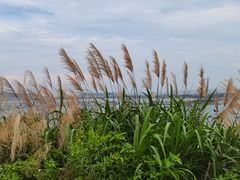 -长江澳风力发电景观区