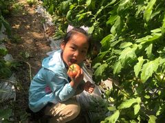 -万源龙顺度假庄园生态观光园