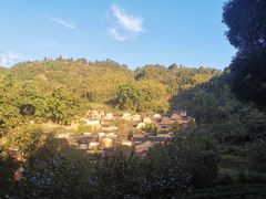 -杨家堂村