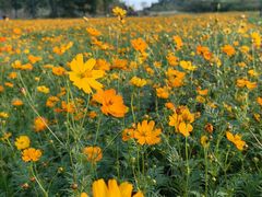 -云漫湖生态度假公园