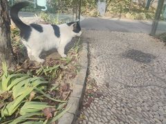 -李叔同故居纪念馆