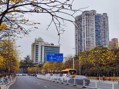 -洲头咀公园