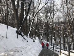 -莫斯科大学