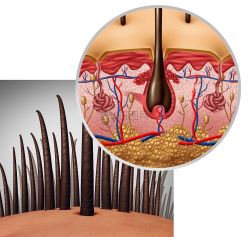 -Bollins波林丝•专研护发中心
