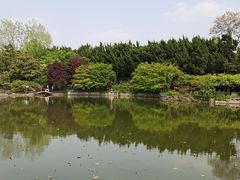-嘉定紫藤园
