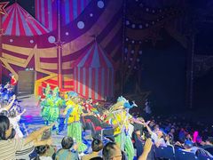 -珠海横琴长隆《卡卡虎奇遇记》