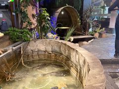 -井水小厨·湘菜(活力广场店)
