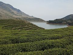 -嵛山岛