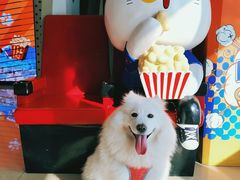 -幸福蓝海国际影城(崇安寺T12店)