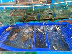 -蓝湾碧波·老字号·疍家非遗海上餐厅