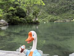 -靖西鹅泉风景区
