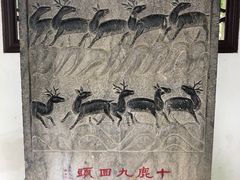 -上海醉白池公园