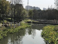 -映月湖公园