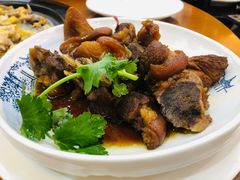 猪脚-晶莹品鲜.顺德鱼生.特色桑拿菜
