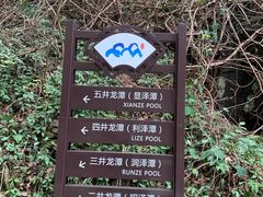 -宁波五龙潭景区