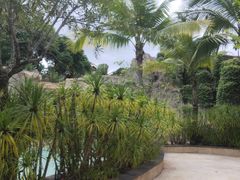 -海口观澜湖火山温泉谷