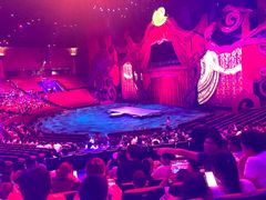 -珠海横琴长隆《卡卡虎奇遇记》