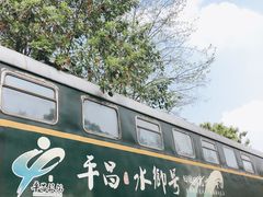 -彭大姐老店黄辣丁(新津店)