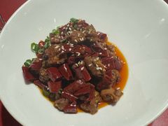 -巴国布衣·SICHUAN FOLK(紫荆店)