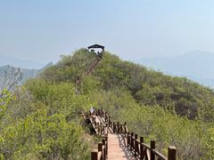 -大岭沟猕猴桃谷风景区