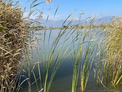 -野鸭湖国家湿地公园