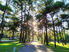 -Club Med地中海俱乐部·桂林度假村