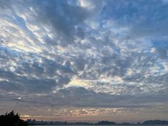 -金鸡岭农贸市场