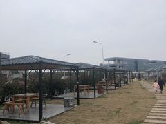 -南汇嘴观海公园