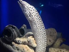 -常州海昌海洋探索馆
