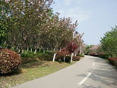 -凤凰沟景区