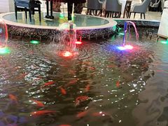 -碧中海汤泉汗蒸酒店